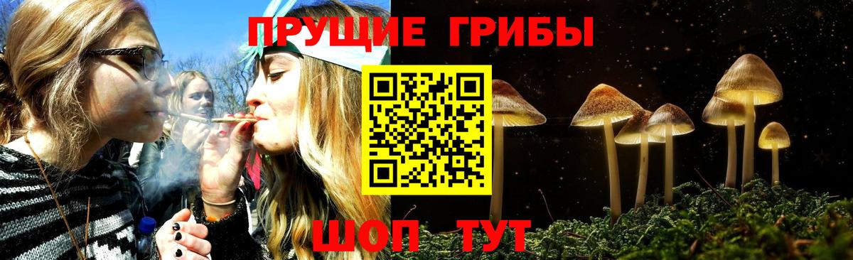 наркота  Псилоцибиновые грибы MAGIC MUSHROOMS  Вход с VPN  Галлюциногенные грибы Magic Shrooms  Улан-Удэ 