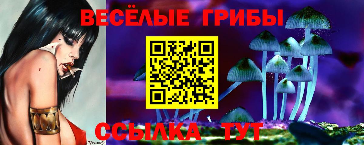 Галлюциногенные грибы Cubensis Улан-Удэ